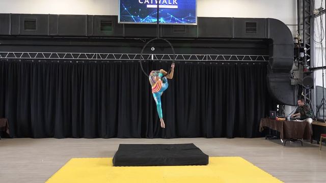 Алиса Гусеваn - Catwalk Dance Fest [pole Dance, Aerial] 17.04.2022г.