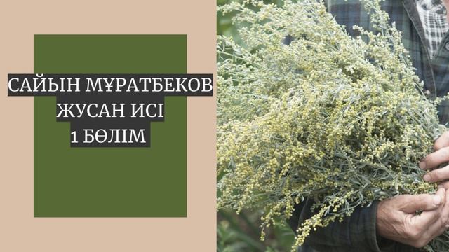 Сайын Мұратбеков. Жусан иісі. 1 бөлім.