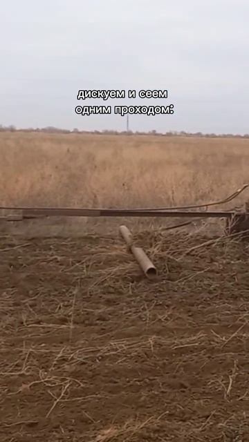 как сэкономить на посеве озимки #ПОСЕВ #фермер #сельск? смотреть онлайн