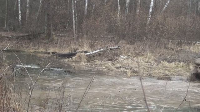 XMP не Едет :-( смотреть онлайн