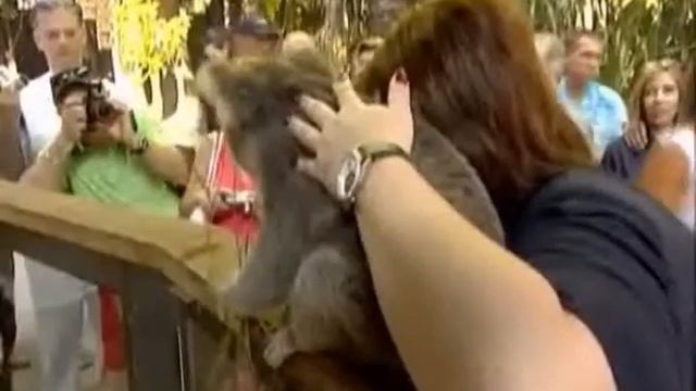 А вдруг получится.wmv смотреть онлайн