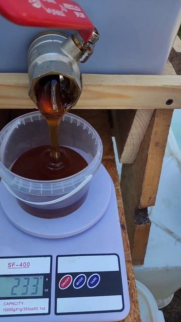 тарируем медок🐝🍯 смотреть онлайн