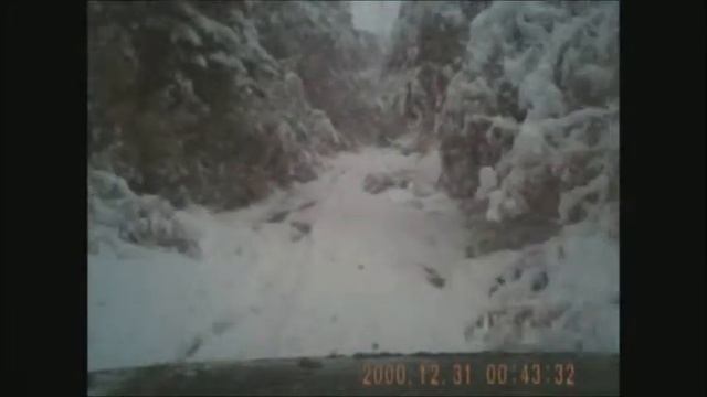 В сказочном лесу