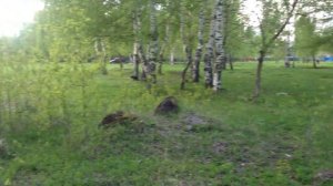 Как перестать быть трусом