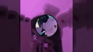 🌄ДЖАЯММИ🌿 & ТУМАН🌫️