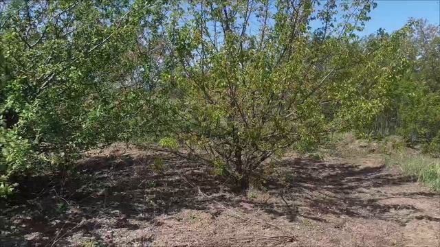 Участок 6.5 сот, в СТ Консервщик