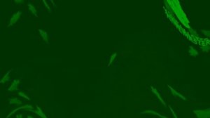 Спокойной ночи малыши In G Major 73