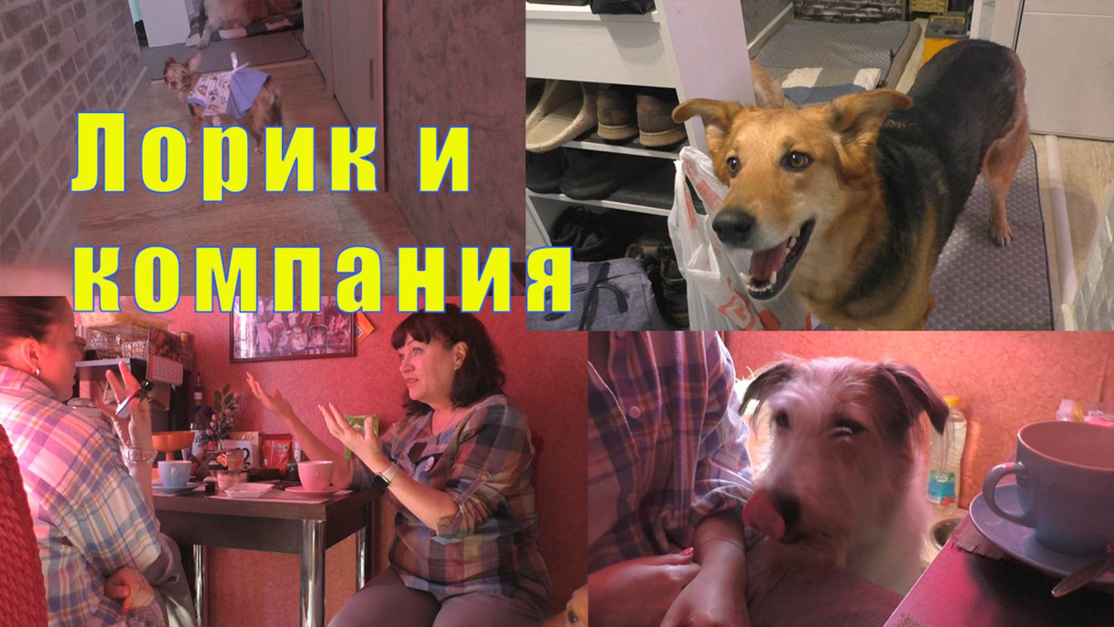 ФИЛЬКА УЕХАЛ К ЛОРИКУ/ АЙДА В ГОСТИ / 13 мая 2025 смотреть онлайн