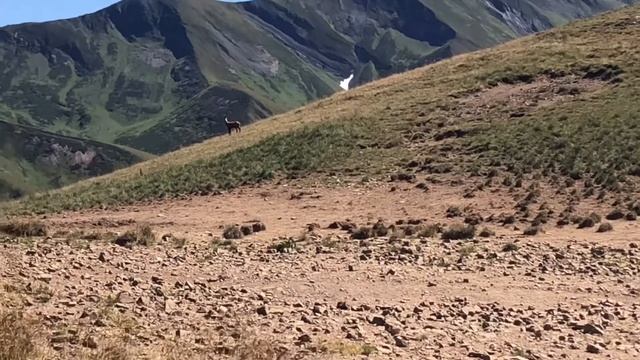 (Не)детский поход 2019. День четвертый