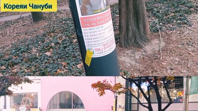 Бечораро кушта ба об мепартоянд😥/Муносибати Корейсхо бо хайвонот