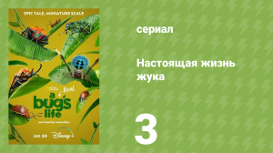 Настоящая жизнь жука 1 сезон 3 серия «Заботливая ферма» (документальный сериал, 2024)