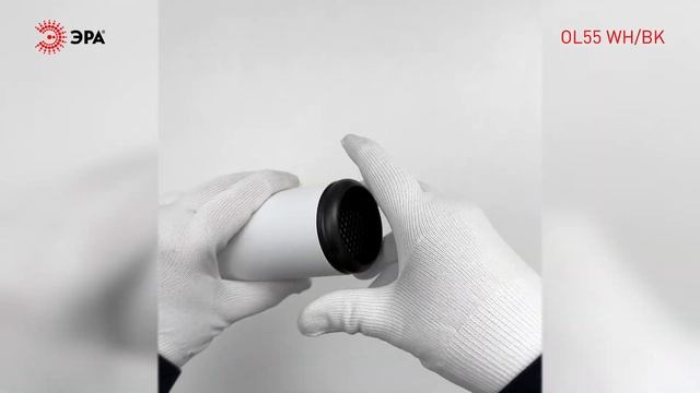 Светильник настенно-потолочный спот ЭРА OL55 WH/BK MR16 GU10 IP20 белый/черный смотреть онлайн