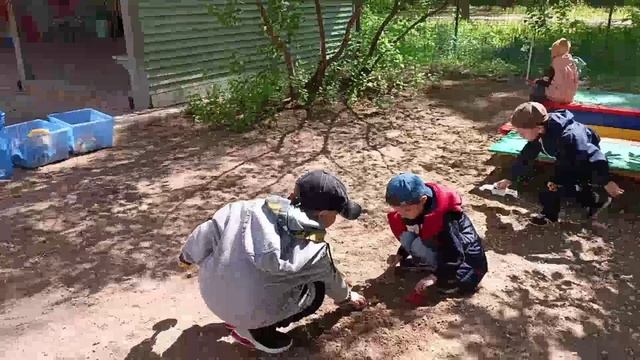 16.05.2025 прогулка смотреть онлайн