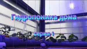 Гидропоника дома серия 1