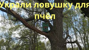 Украли ловушку для пчёл, печально.