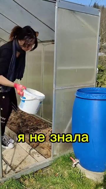 весна идёт #освобождаем теплицу #весенние работы #на д? смотреть онлайн