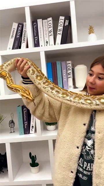 💖МИЛАНА ХАМЕТОВА🔥 #174 shorts tiktok💖 смотреть онлайн