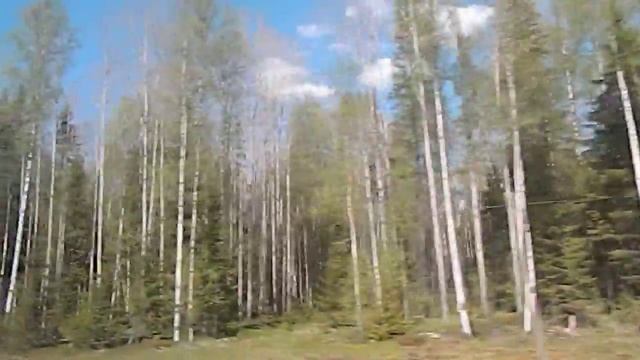 7  по дороге