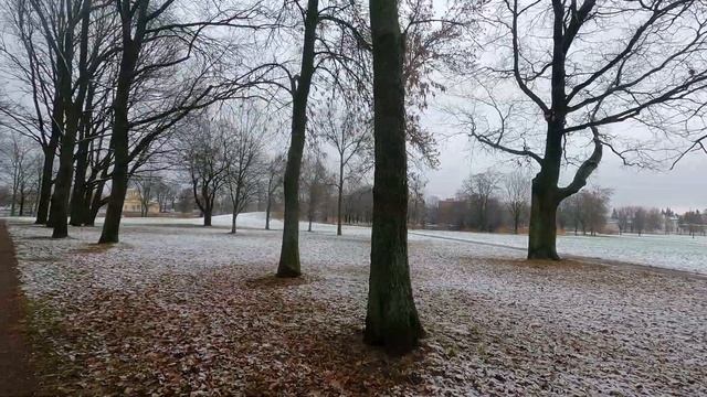Первый Петергофский снежок