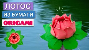 ПОДЕЛКА ЛОТОС ИЗ БУМАГИ ОРИГАМИ