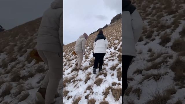 28 декабря 2023 г.