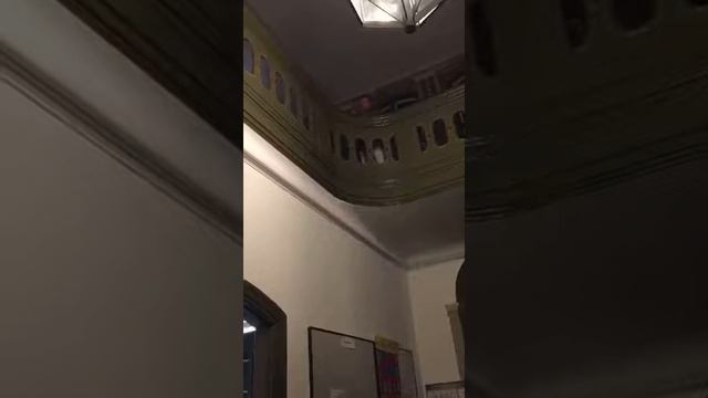 Сильвестрини 5 этюд смотреть онлайн