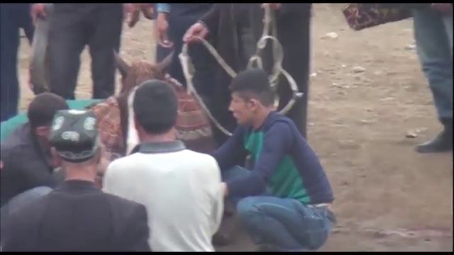 URGUT KO'PKARI ROZIG' POLVON 6 QISM