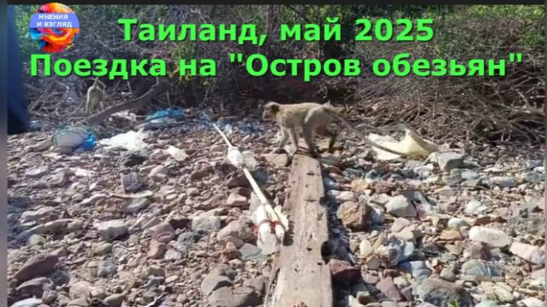 Поездка на Остров Обезьян, Таиланд. Май 2025 года смотреть онлайн