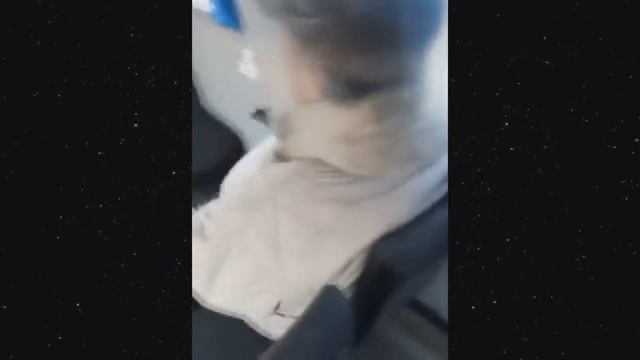 Я РЖАЛ ДО СЛЕЗ 😂 30 МИНУТ ЛУЧШИХ РУССКИХ ПРИКОЛОВ 2021 ЗАСМЕЯЛСЯ ПОДПИСАЛСЯ лютые приколы 503 смотреть онлайн