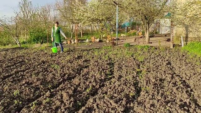 Первая ложка борща// трусливая бабушка👵 смотреть онлайн