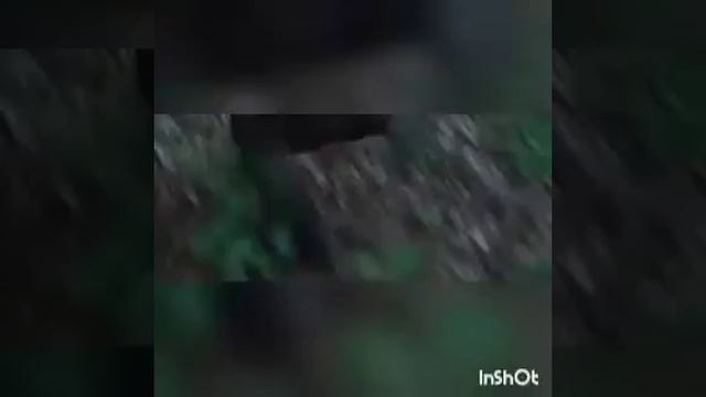 Голодные игры клип Imagine Dragons I'm So Sorry смотреть онлайн