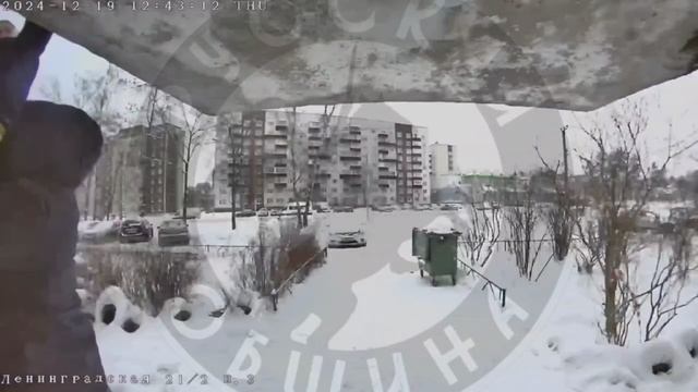 Солевые старожилы того самого наркопритона во Всеволожске зафиксированы на видео местного домофона смотреть онлайн