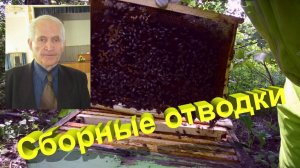 Отводки как у Профессора: мастер-класс по правильной сборке