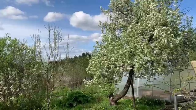 Video_2025-05-16_17-25-07