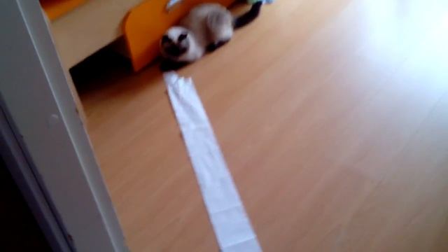 Похитительница туалетной бумаги. смотреть онлайн