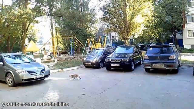 07.10.2018 Прогулка по Щёлкино