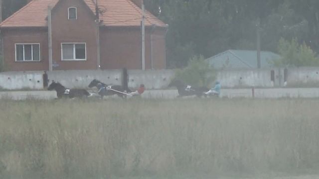 08. 08. 2020 Заезд №3 (78). Приз "Проталинки" смотреть онлайн