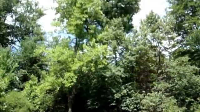 Софиевский парк.mpg смотреть онлайн