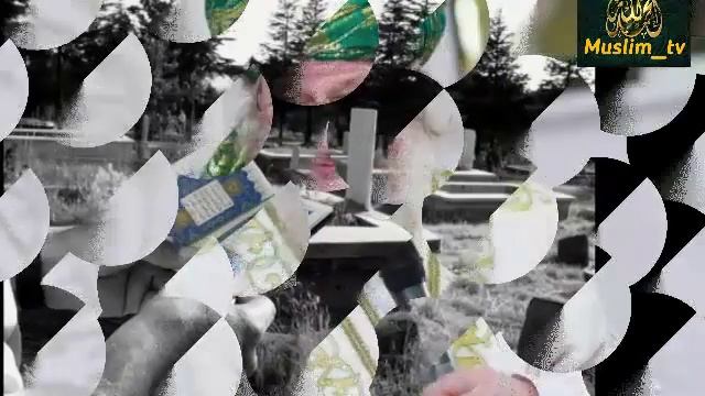 Шукуруллох домла, Кабристонда пул учун Куръон укувчилар!!!