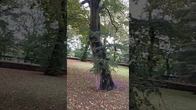 18 вересня 2022 р.