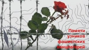 Германия.Шлос Хольте-Штукенброк.Кладбище военнопленных и угнанных граждан СССР в Германию.09.05.2025