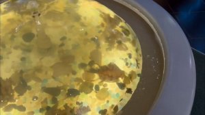 2 часть с круиза на теплоходе «Огни большого города» в 2024 году. Мы приехали в Углич