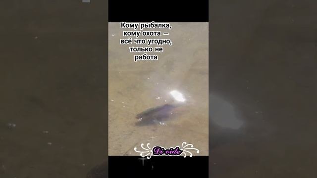 #shortvideo #рыбалка #отдых #охота #viralvideo #2025