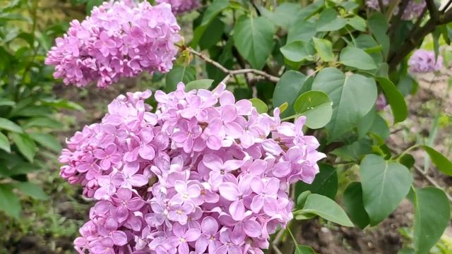 Вязальная прогулка или как вяжет мама двоих карапузов