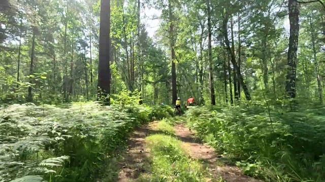 Тренировка в ХСО Подгорный Barbashin Hard смотреть онлайн