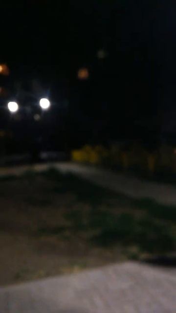 Лизун сосун