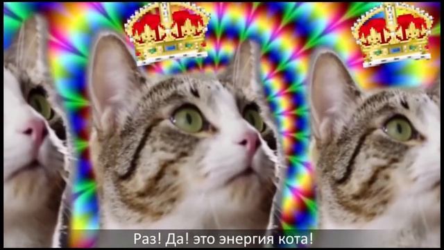 COUB #21 Best Cube Best Coub Приколы май 2019 июнь Best Fails Funny Extra Coub смотреть онлайн