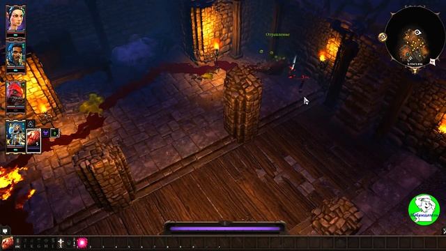 Divinity Original Sin 2: DE. Куда пойти в начале и где взять опыт на Побережье Жнеца (Начало).