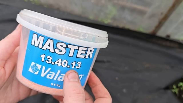 🚀 ВЗРЫВНОЙ СТАРТ для томатов, огурцов и перцев! смотреть онлайн