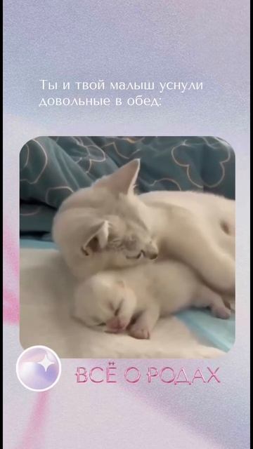 Что может быть лучше? #всеородах #будумамой #младенец #? смотреть онлайн